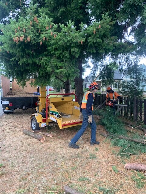crew prepping a chipper and chipping tree branches - Iverson Forest Management Landscaping & Property Services