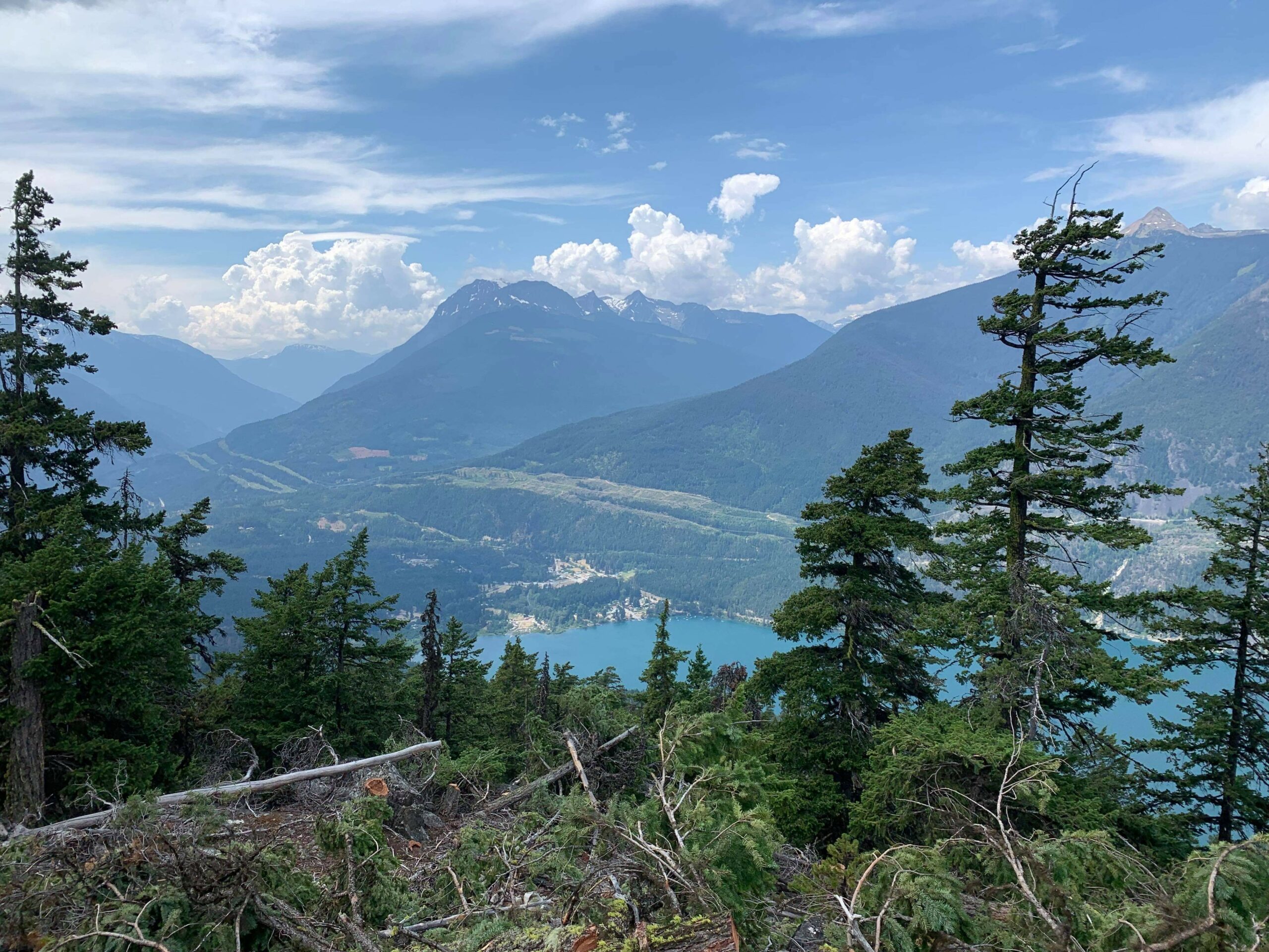 A vista from one side ov a valley to the other with a small cut block - Iverson Forest Management - Forestry Services